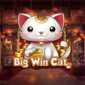 big-win-cat gokkast