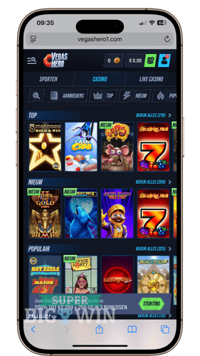 slots bij vegashero casino