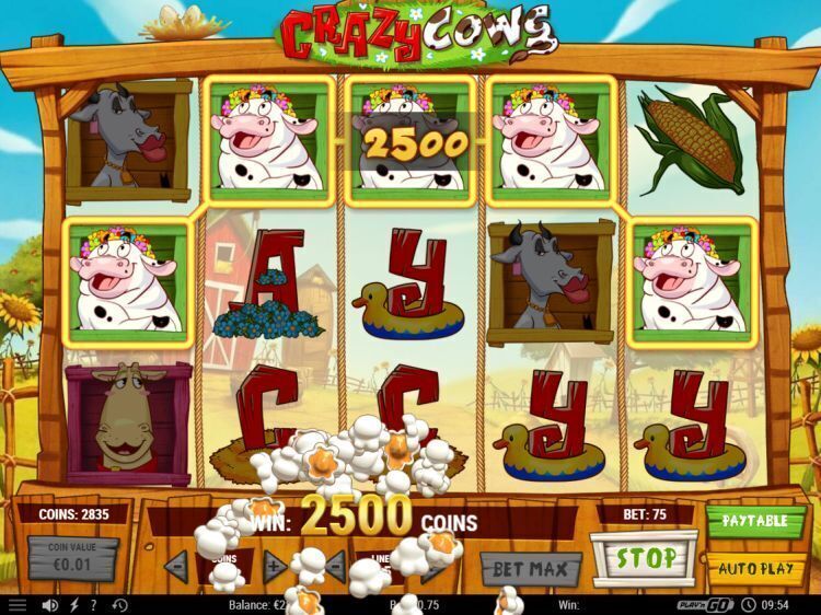 Crazy Cows slot review big win