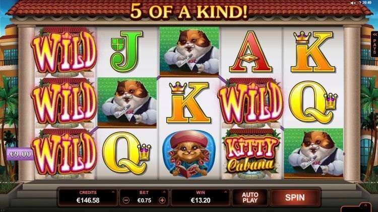 kitty-cabana gokkast microgaming win