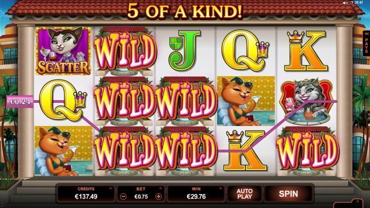 kitty cabana slot microgaming win