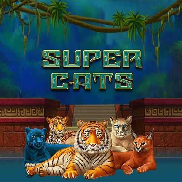 Super cats amatic