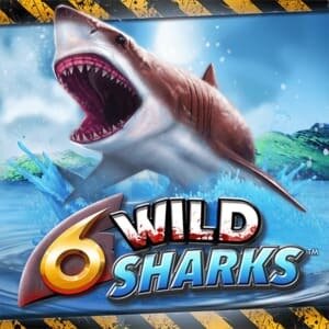 slot logo van 6 wild sharks gokkast