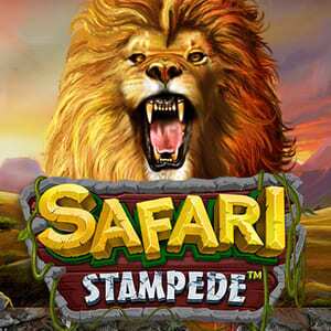 safari stampede slot logo