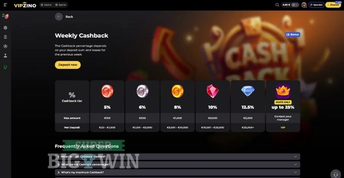 vipzino cashback
