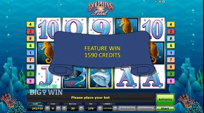 Big win op Dolphin's Pearl