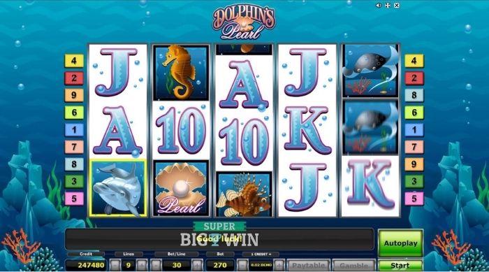 Dolphin's Pearl gokkast review
