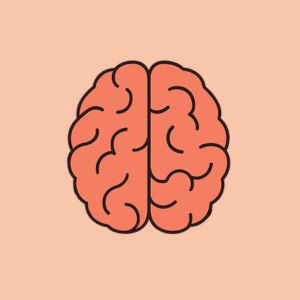 psychologie gokken