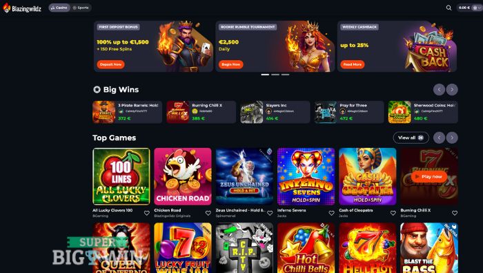 blazing wilds casino homepage