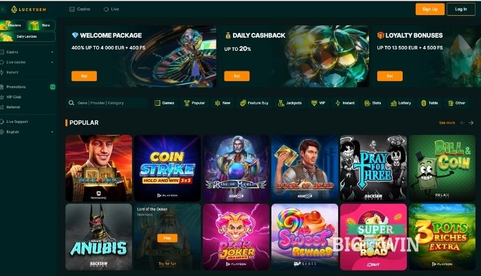 homepage van luckygem