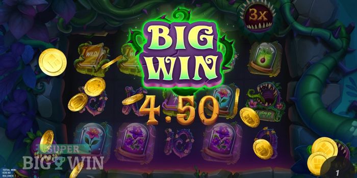 Ivy slot Big Win