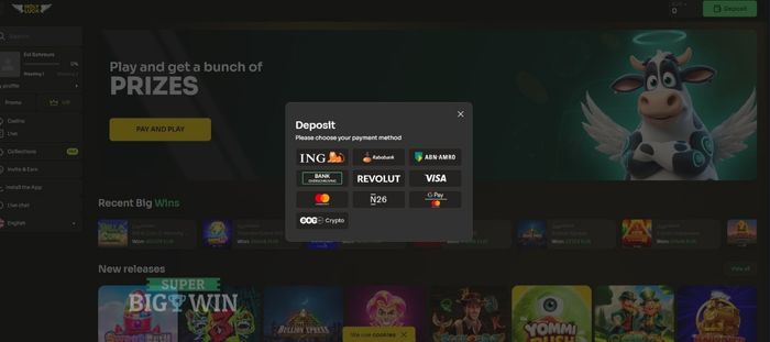 storten bij Holyluck Casino