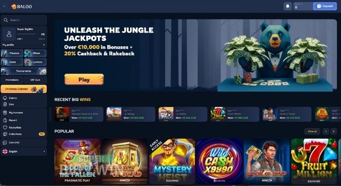 homepage van baloo casino