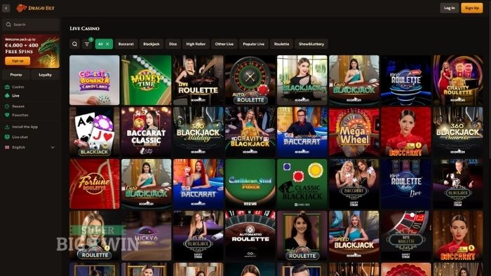 dragobet live casino