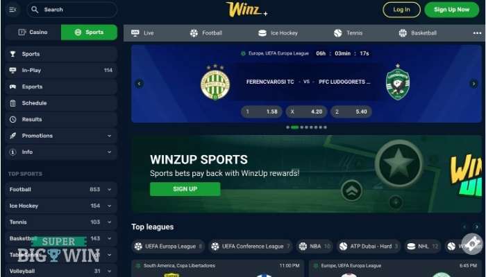 Winz.io sportsbook