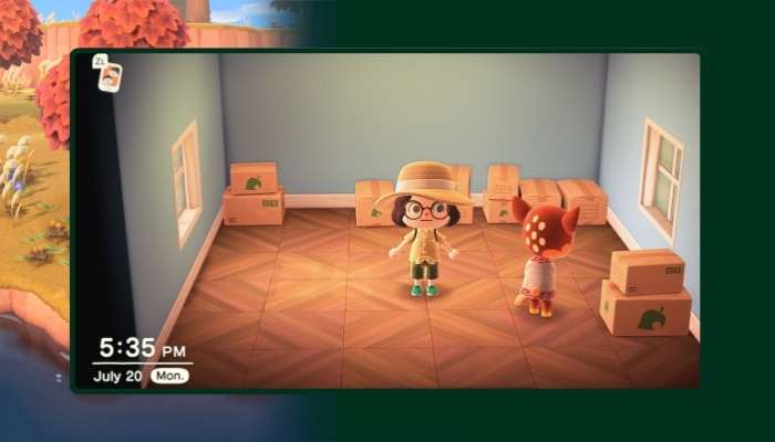 Animal Crossing - Franchise - Gameplay