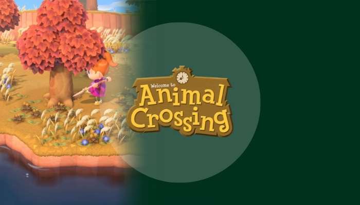 Animal Crossing videogame