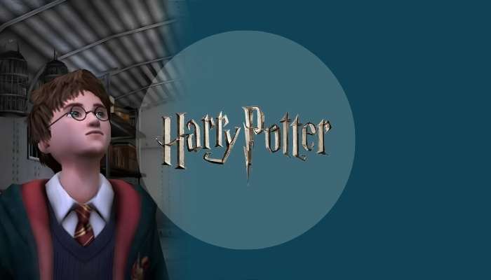 Harry Potter videogame