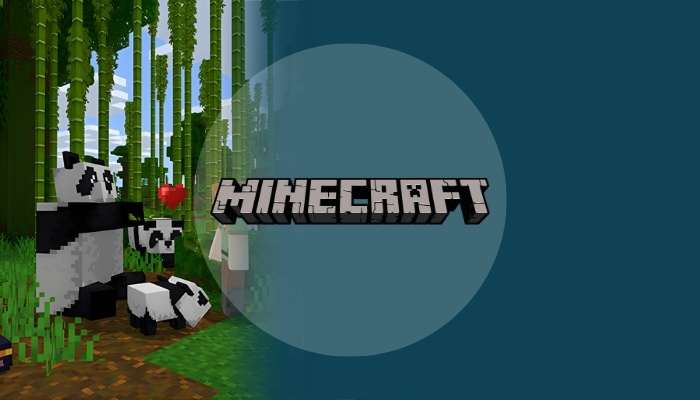 Minecraft - Videogame