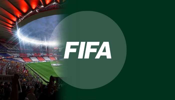 FIFA videogame