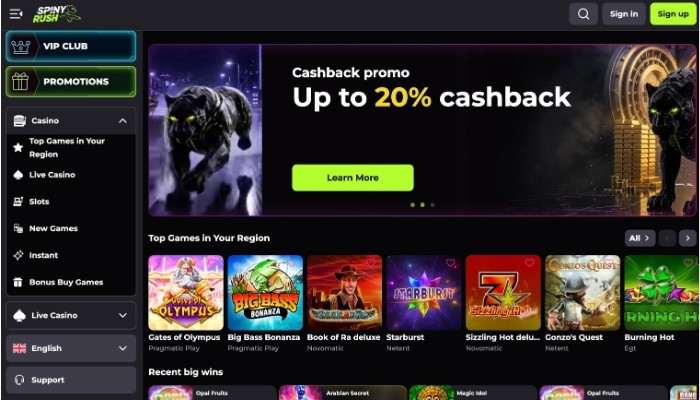 Spinyrush casino online
