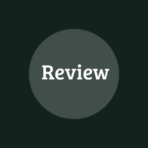 SuperBigWin videogames review logo
