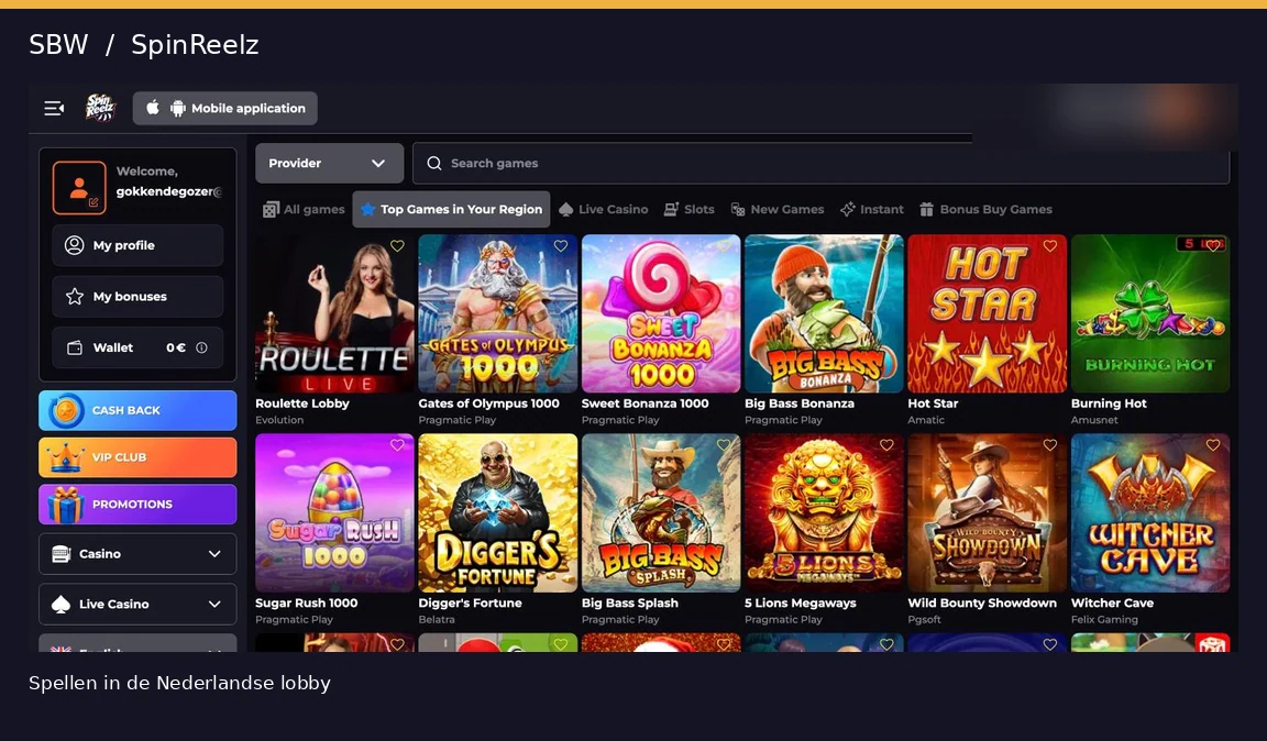 SpinReelz spellobby met gokkasten en providerfilter