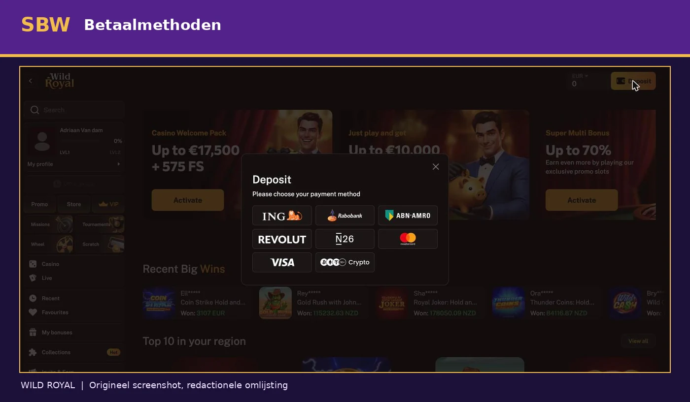 Wild Royal kassa met bankbetalingen, kaartbetalingen en crypto